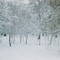 зимой в парке :: Егор Гребенюк