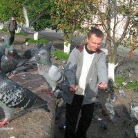 Кормящий голубей! :: Светлана 