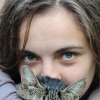 Две кошки :: Алёна Лепёшкина