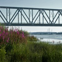 Мост через реку притоку Северной Двины :: Алёна Михеева