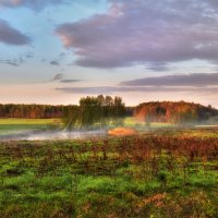 Весеннее утро :: Сергей Шабуневич