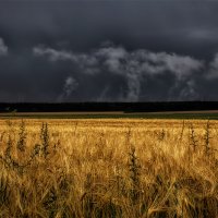 Перед грозой :: Сергей Шабуневич