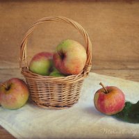 Этюд с яблоками :: Марина Остапенко