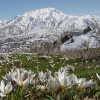 Весна. Перевал Акшуран. :: Виктор Осипчук