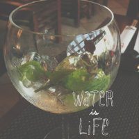 Water is life :: Вероника Швец