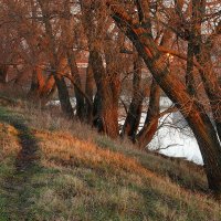 Осенний вечер на берегу :: Анастасия Богатова