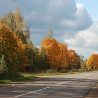 Осенняя дорога :: Анастасия Богатова