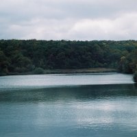 лесное озеро :: Егор Гребенюк