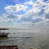 Лиман на Азовском море :: Денис Гадасюк