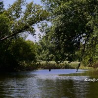 на реке. :: Александр Лонский