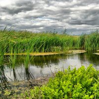 фото :: Егор Гребенюк