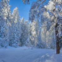 Голубая зима :: vladimir Bormotov