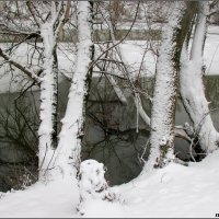 Зимним днём на берегу реки :: Нина Бутко