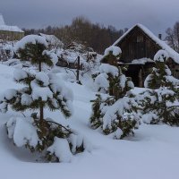 Зима в деревне :: Виктор 