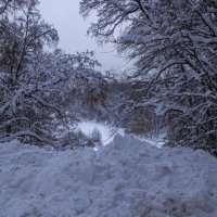 Февральский снег :: Александра 