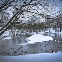 На реке Городне. Москва. :: Oleg4618 Шутченко