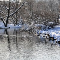 Речка Городня :: Анатолий Колосов