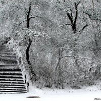 Лестница в зиму :: Виктор Марченко