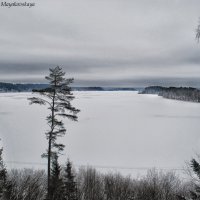 Озеро Сапшо :: Angela Mayakovskaya