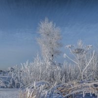 "Зимы ждала, ждала природа, Снег выпал только в январе..." :: Михаил "Skipper"