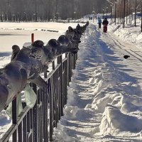 Очередь :: Сергей Розанов