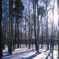 Зимний парк :: ВиктОр ИванОвич