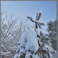 ФРАГМЕНТ ЗИМЫ. :: Юрий Ефимов