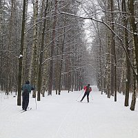 В здоровом теле-здоровый дух. :: Валентина Жукова