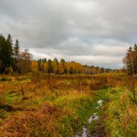 Осенний пейзаж. :: Владимир Лазарев