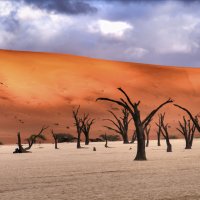 высохшее озеро Deadvlei, пустыня Намиб :: Георгий А