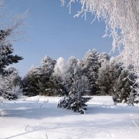 Красота :: ГАЛИНА Баранова