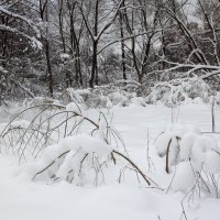 Снежный февраль :: Ольга Анянова