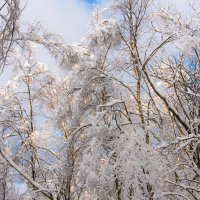 Посмотрите вверх - там красиво! :: Владимир Безбородов