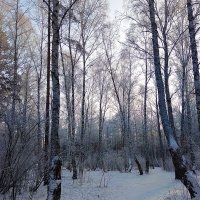 Февраль лежал в дремотной неге ... :: Татьяна Котельникова