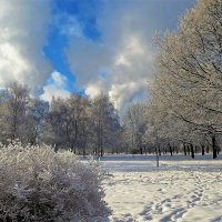 Снежное очарование... :: Sergey Gordoff