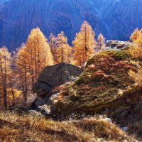 осень в горах :: Elena Wymann