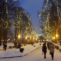 Зимний вечер в ЦПКиО им.Горького, Москва. :: Елена 