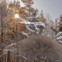 Усадьба Александрино зимой :: bajguz igor