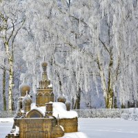 Если деревья очень большие... :: Наталия П