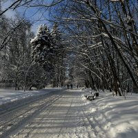 Аллея ведущая к обзорной площадке на Воробьевых Горах (Москва) :: Юрий Поляков