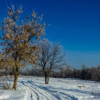 Дорога :: Михаил 