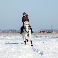 Света и Укрвина :: Анна Останина