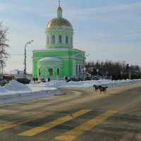 г.Озеры,и даже собаки там перебегают улицу по правилам :: Ninell Nikitina