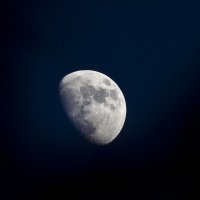 Луна :: Сергей Алексеев