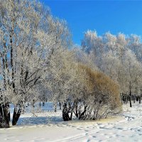 У зимнего пруда... :: Sergey Gordoff