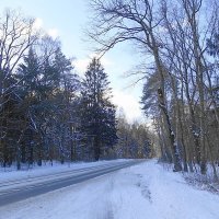 Дорога в дорогу зовёт :: Маргарита Батырева