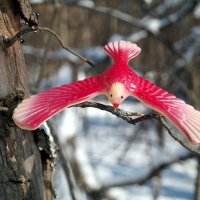 И птица удачи весной прилетит! :: Андрей Заломленков