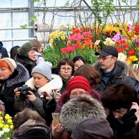 "Приходит время, люди головы теряют и это время называется ВЕСНА!" :: Татьяна Помогалова