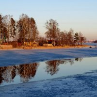 Первые проталины :: Светлана Петошина