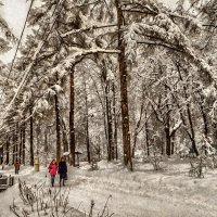 Прогулки по парку. :: Василий Ярославцев